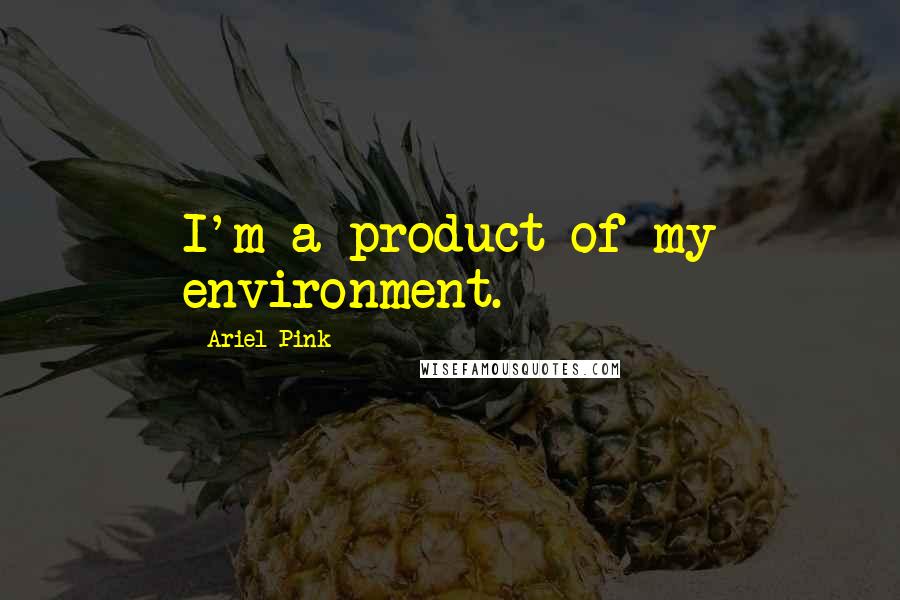 Ariel Pink Quotes: I'm a product of my environment.