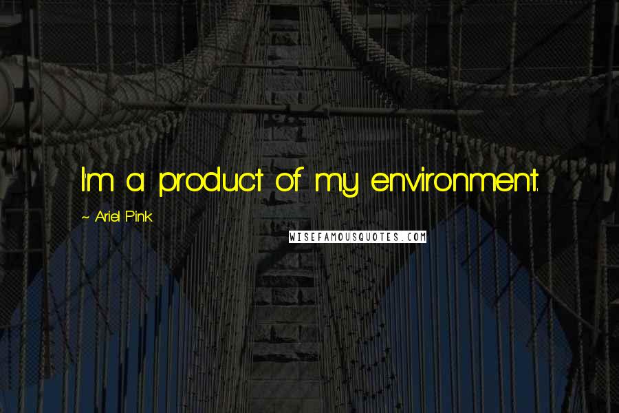Ariel Pink Quotes: I'm a product of my environment.