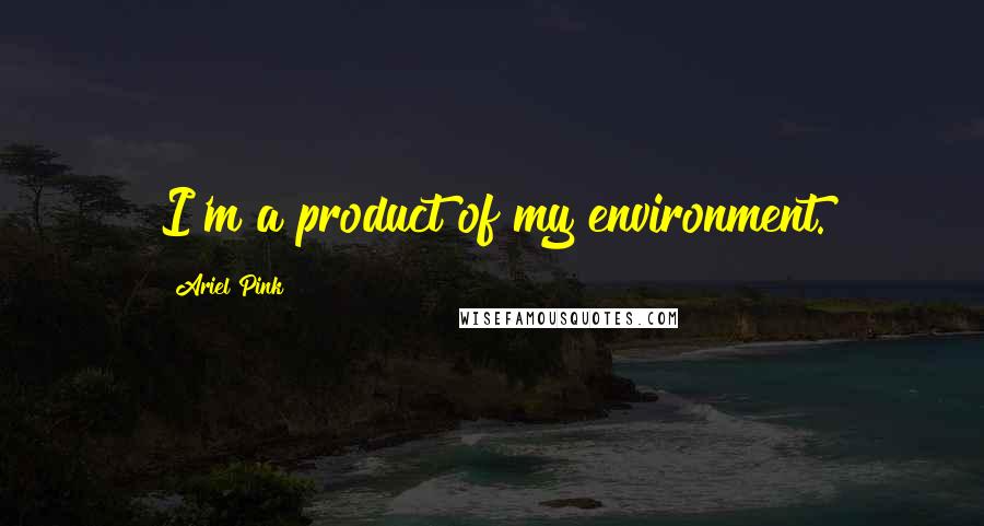 Ariel Pink Quotes: I'm a product of my environment.