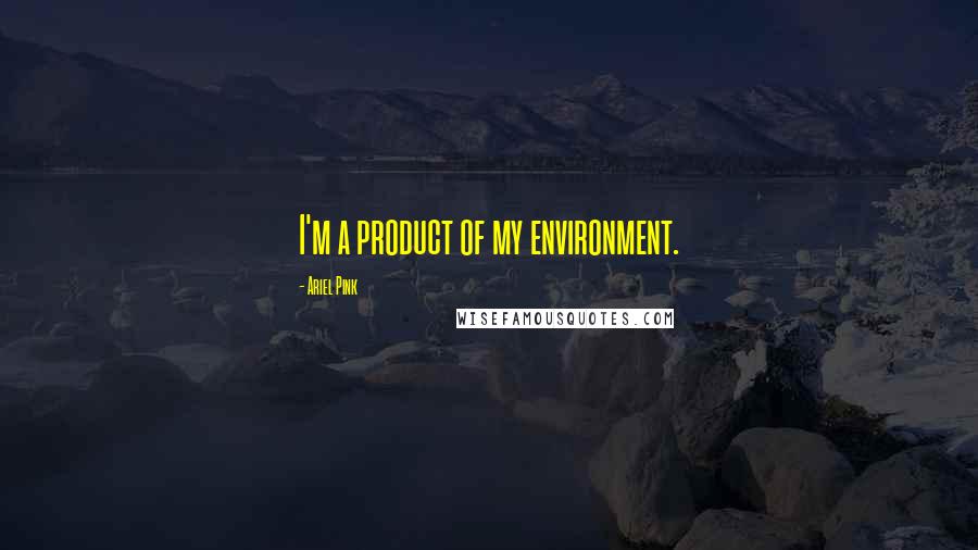 Ariel Pink Quotes: I'm a product of my environment.