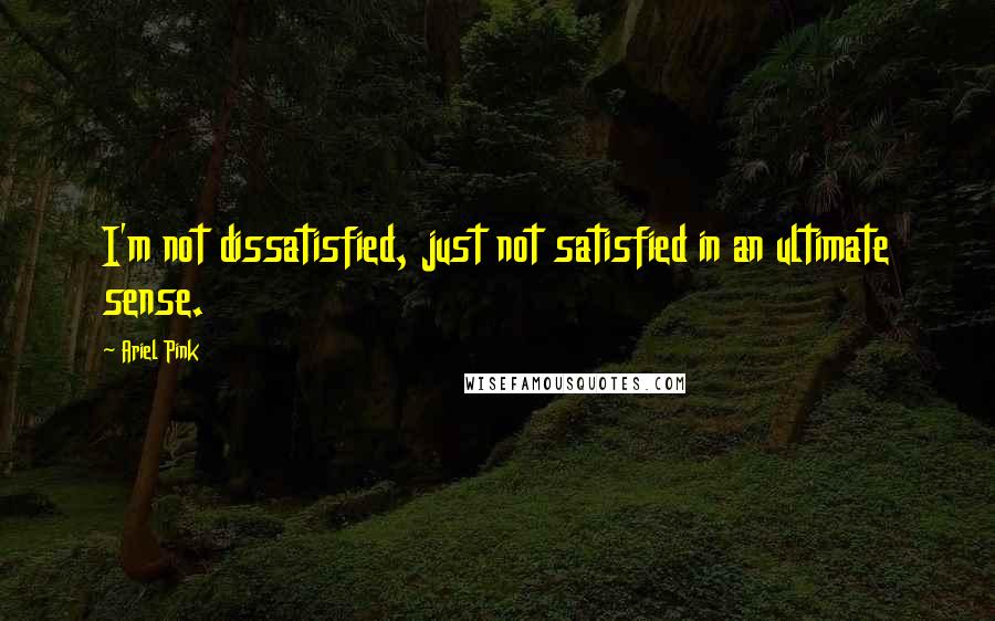 Ariel Pink Quotes: I'm not dissatisfied, just not satisfied in an ultimate sense.