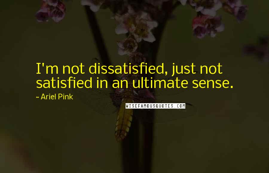 Ariel Pink Quotes: I'm not dissatisfied, just not satisfied in an ultimate sense.