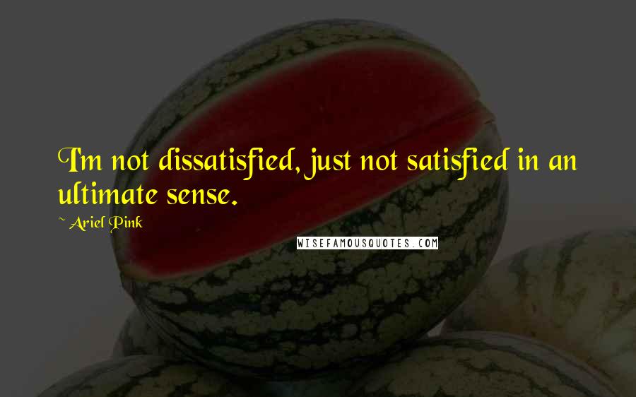 Ariel Pink Quotes: I'm not dissatisfied, just not satisfied in an ultimate sense.