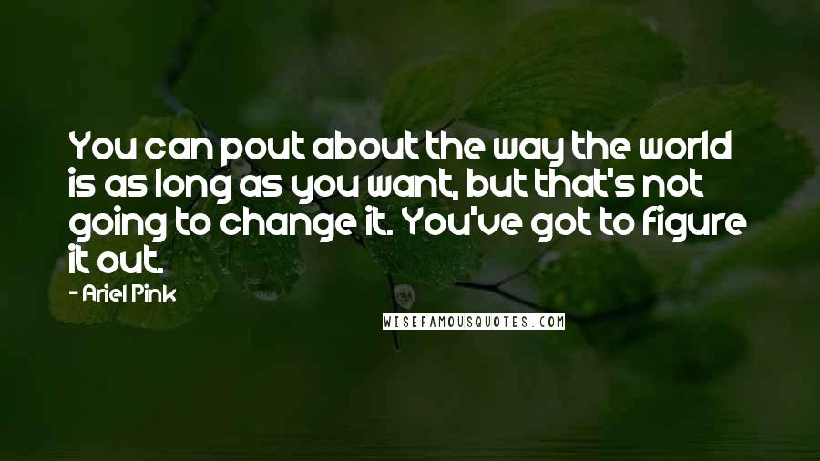 Ariel Pink Quotes: You can pout about the way the world is as long as you want, but that's not going to change it. You've got to figure it out.