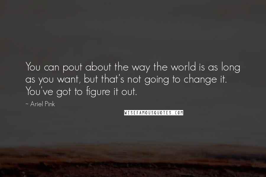 Ariel Pink Quotes: You can pout about the way the world is as long as you want, but that's not going to change it. You've got to figure it out.