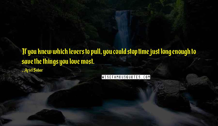 Ariel Sabar Quotes: If you knew which levers to pull, you could stop time just long enough to save the things you love most.