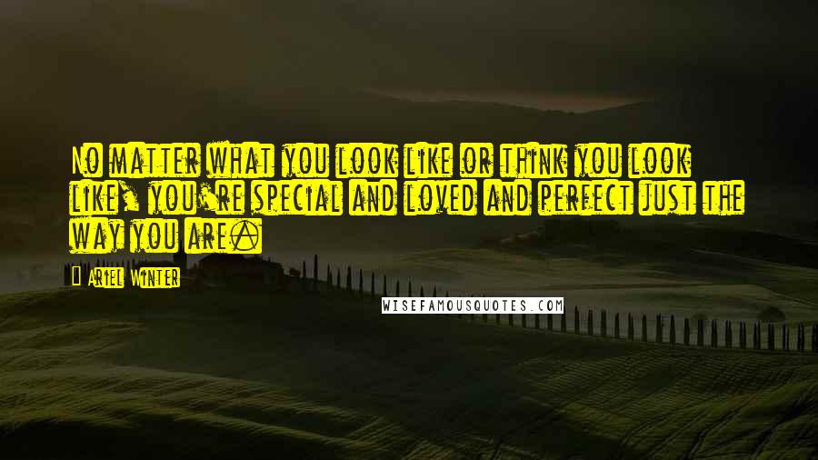 Ariel Winter Quotes: No matter what you look like or think you look like, you're special and loved and perfect just the way you are.