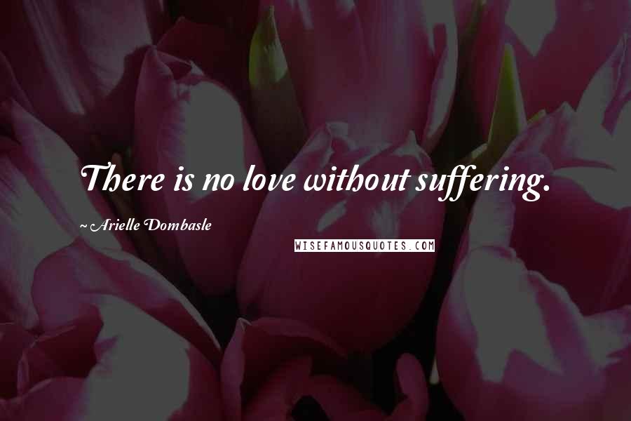 Arielle Dombasle Quotes: There is no love without suffering.