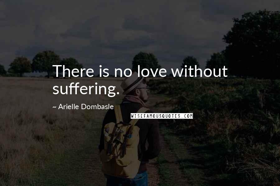 Arielle Dombasle Quotes: There is no love without suffering.