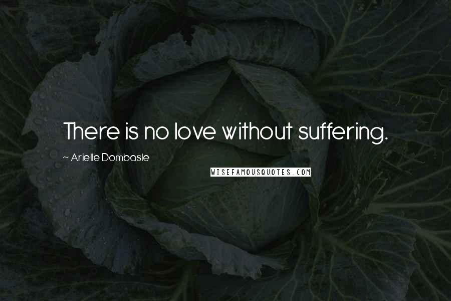 Arielle Dombasle Quotes: There is no love without suffering.