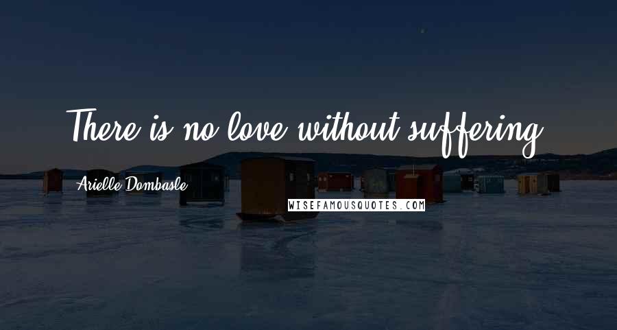 Arielle Dombasle Quotes: There is no love without suffering.