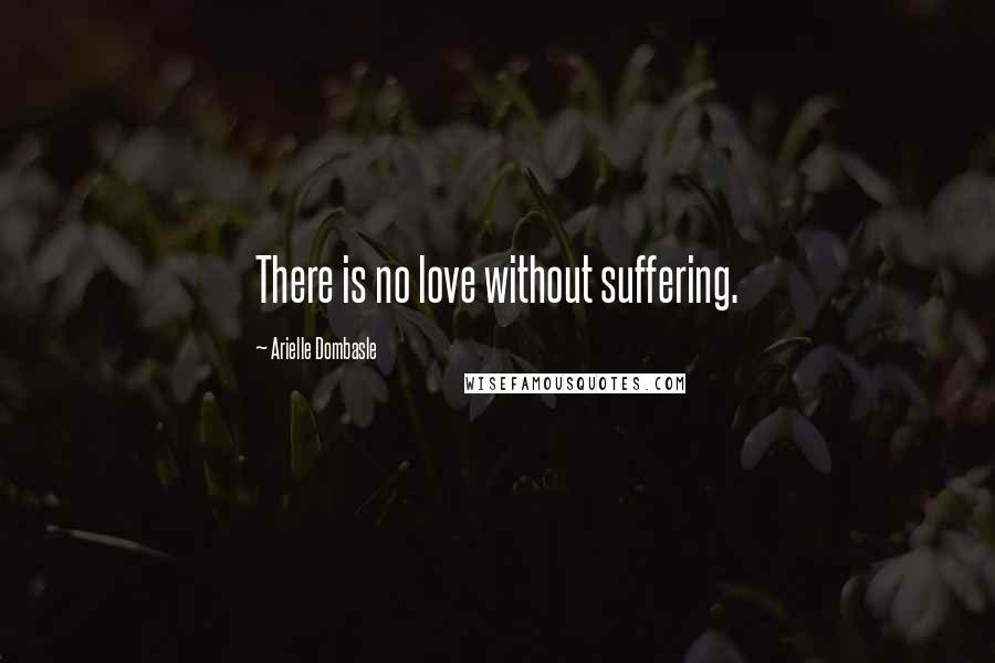 Arielle Dombasle Quotes: There is no love without suffering.