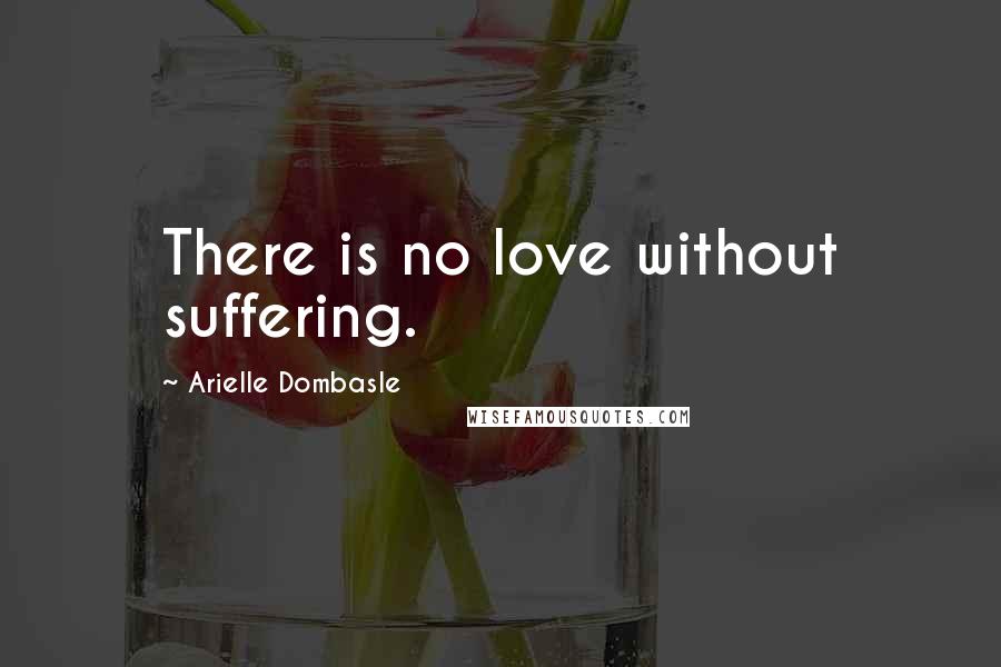 Arielle Dombasle Quotes: There is no love without suffering.