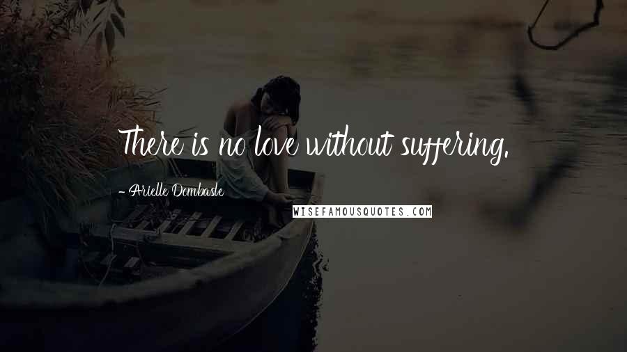 Arielle Dombasle Quotes: There is no love without suffering.