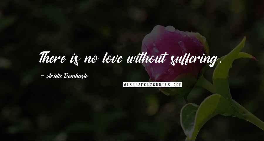 Arielle Dombasle Quotes: There is no love without suffering.