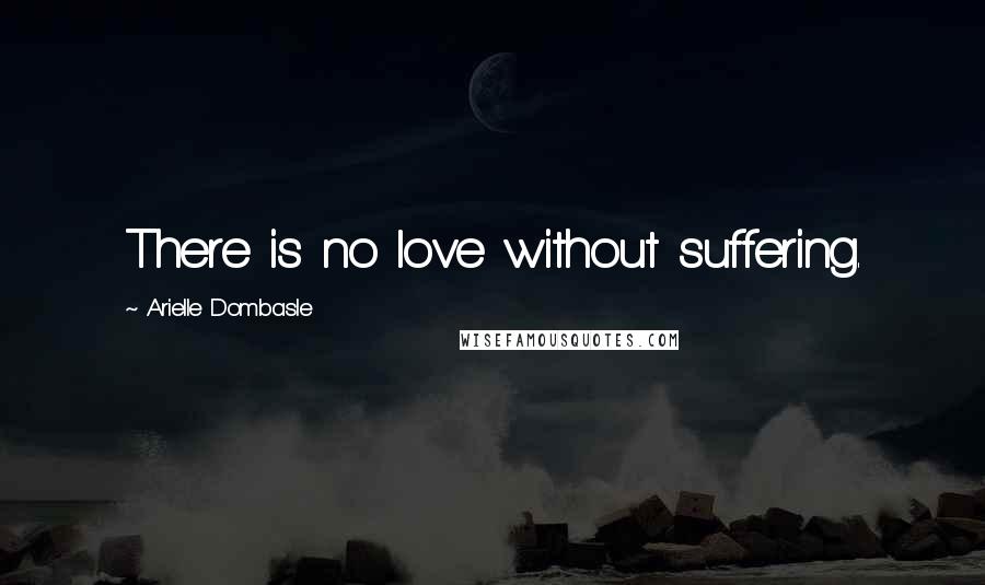 Arielle Dombasle Quotes: There is no love without suffering.