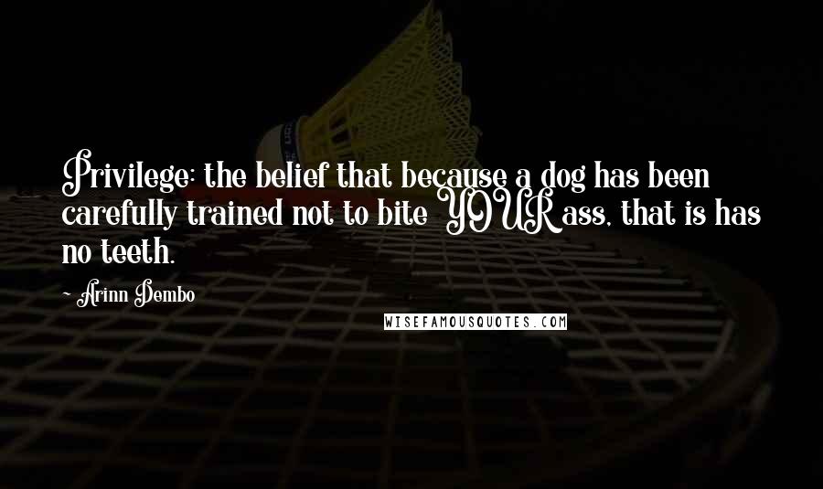 Arinn Dembo Quotes: Privilege: the belief that because a dog has been carefully trained not to bite YOUR ass, that is has no teeth.