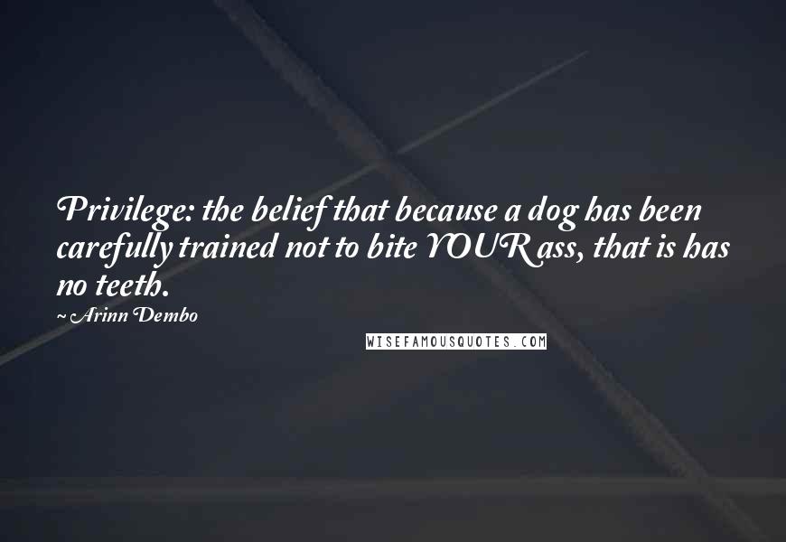 Arinn Dembo Quotes: Privilege: the belief that because a dog has been carefully trained not to bite YOUR ass, that is has no teeth.