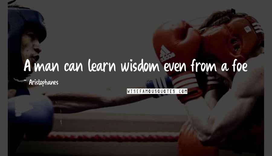 Aristophanes Quotes: A man can learn wisdom even from a foe