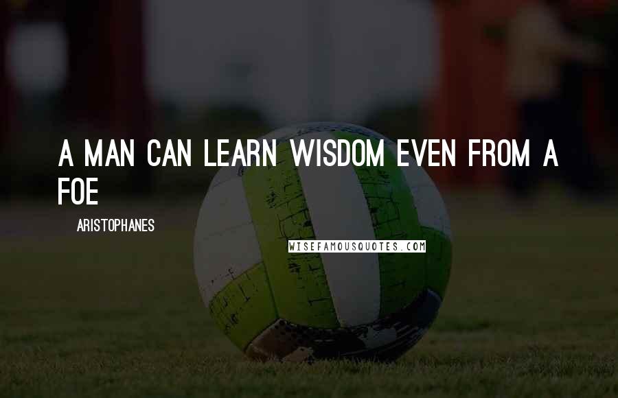 Aristophanes Quotes: A man can learn wisdom even from a foe