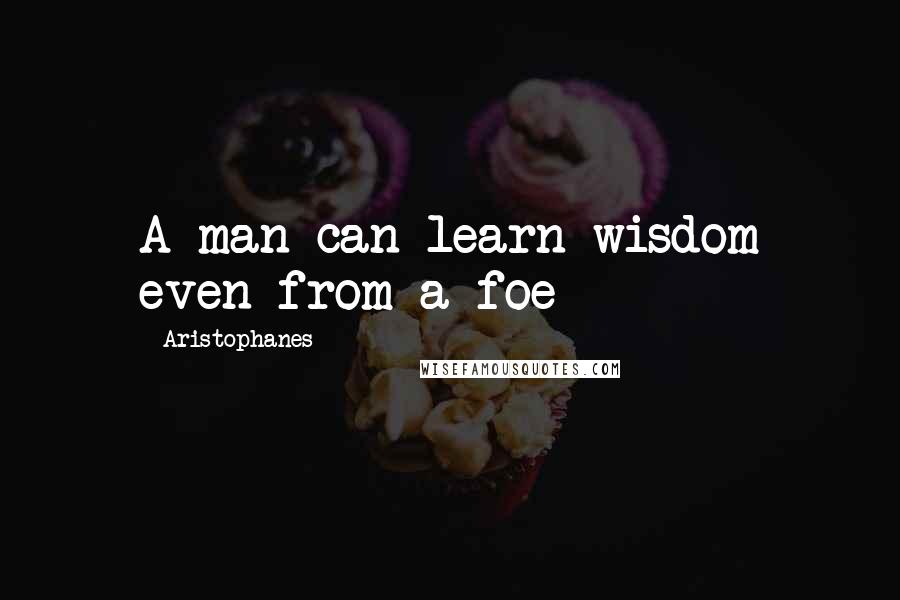 Aristophanes Quotes: A man can learn wisdom even from a foe