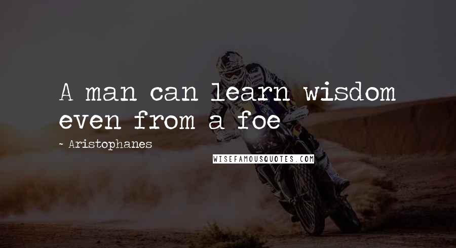 Aristophanes Quotes: A man can learn wisdom even from a foe