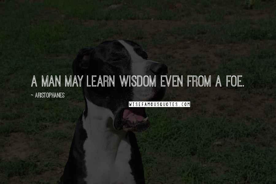 Aristophanes Quotes: A man may learn wisdom even from a foe.