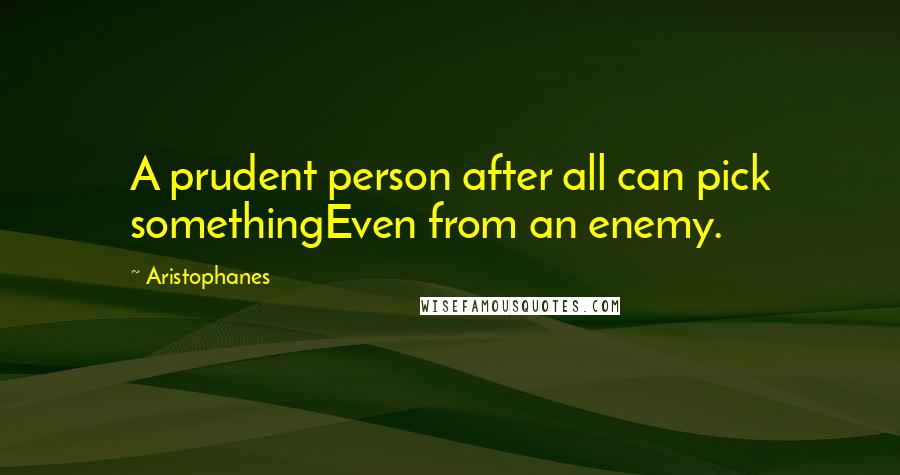 Aristophanes Quotes: A prudent person after all can pick somethingEven from an enemy.