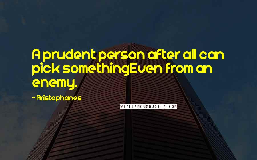 Aristophanes Quotes: A prudent person after all can pick somethingEven from an enemy.