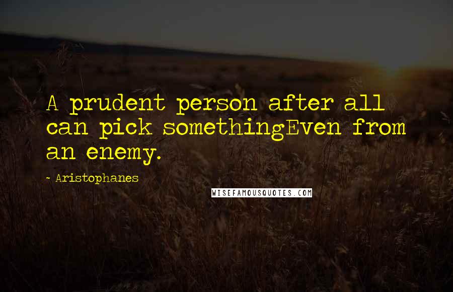 Aristophanes Quotes: A prudent person after all can pick somethingEven from an enemy.