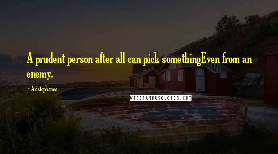 Aristophanes Quotes: A prudent person after all can pick somethingEven from an enemy.