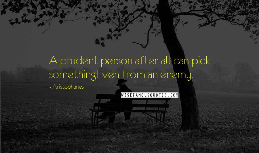 Aristophanes Quotes: A prudent person after all can pick somethingEven from an enemy.