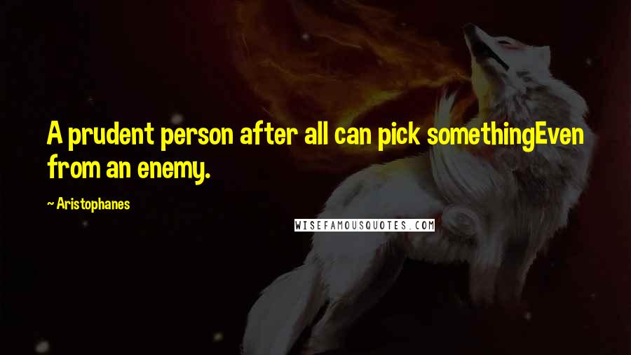 Aristophanes Quotes: A prudent person after all can pick somethingEven from an enemy.