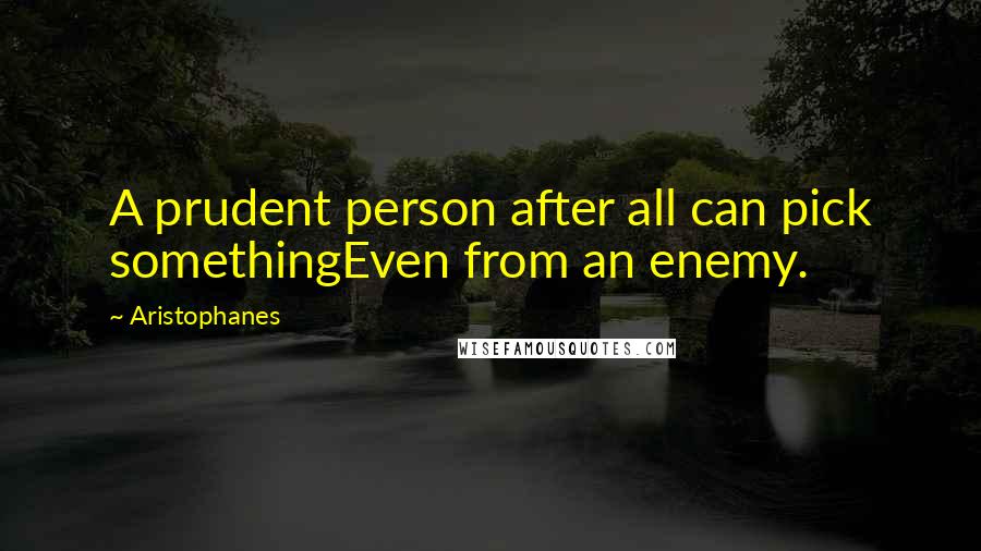 Aristophanes Quotes: A prudent person after all can pick somethingEven from an enemy.