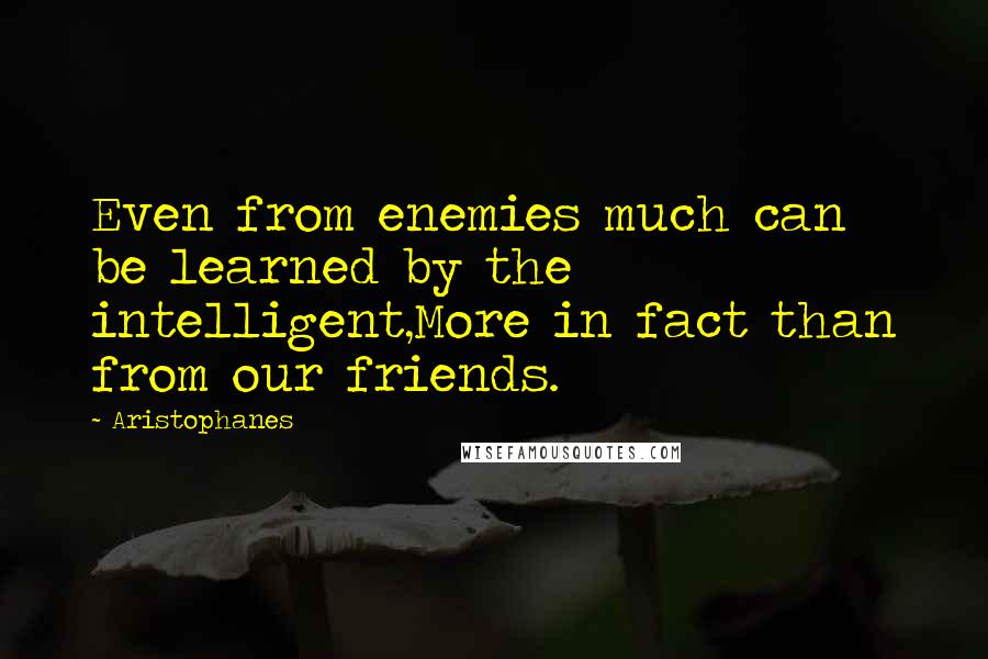 Aristophanes Quotes: Even from enemies much can be learned by the intelligent,More in fact than from our friends.