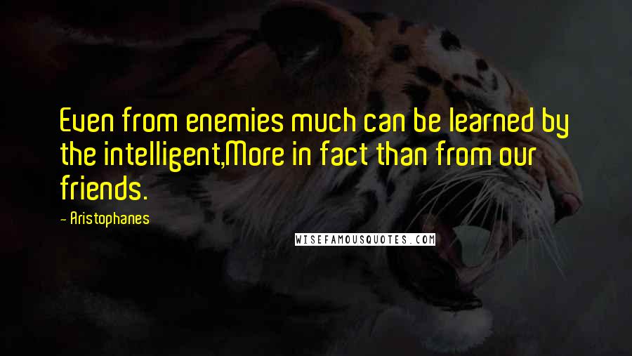 Aristophanes Quotes: Even from enemies much can be learned by the intelligent,More in fact than from our friends.