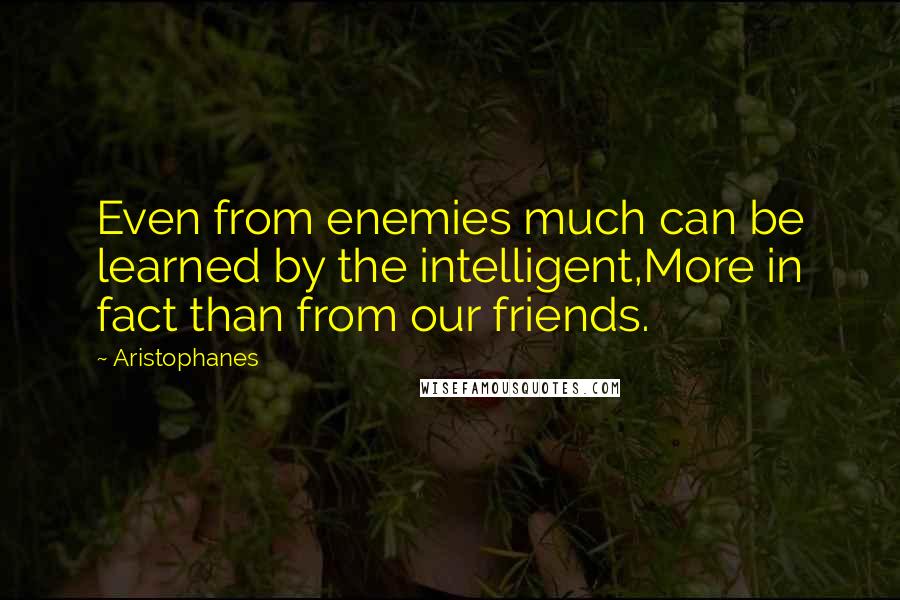 Aristophanes Quotes: Even from enemies much can be learned by the intelligent,More in fact than from our friends.