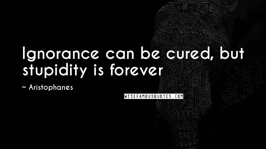 Aristophanes Quotes: Ignorance can be cured, but stupidity is forever