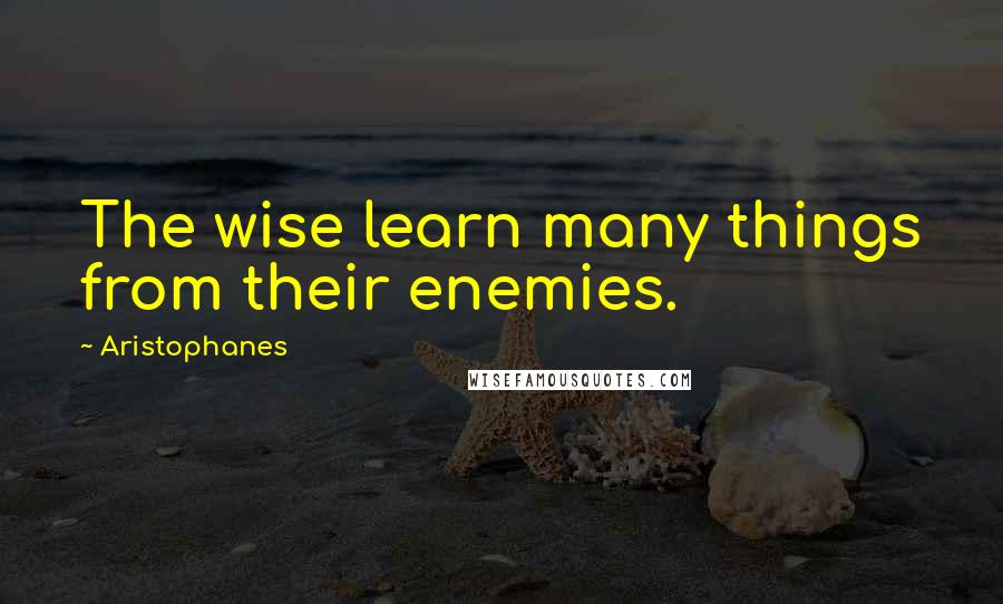 Aristophanes Quotes: The wise learn many things from their enemies.