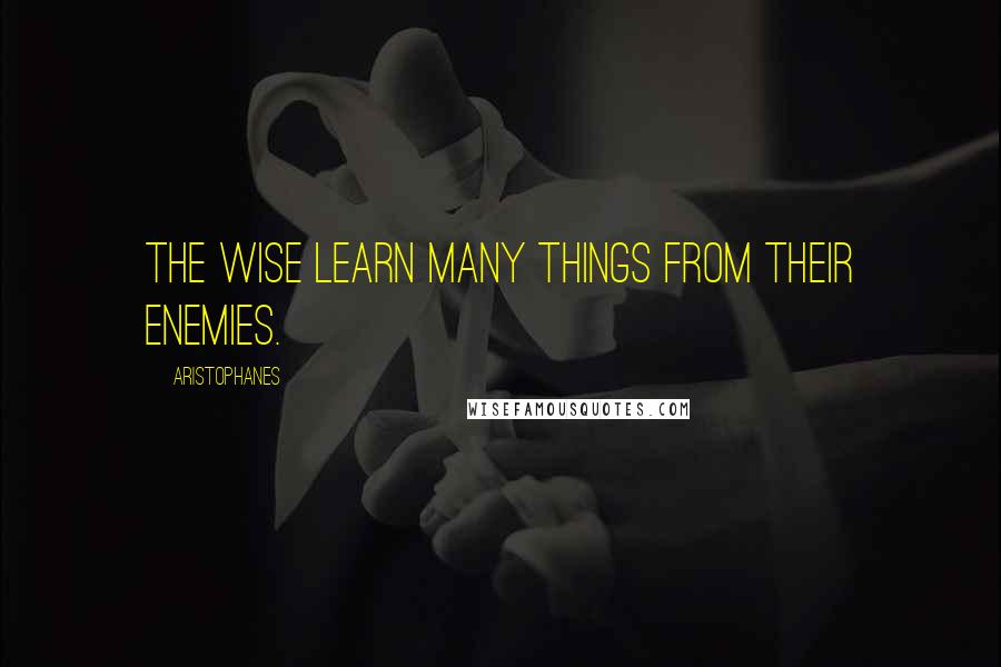 Aristophanes Quotes: The wise learn many things from their enemies.
