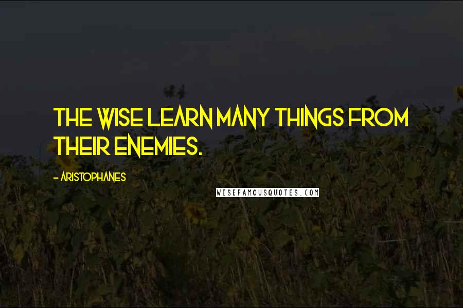 Aristophanes Quotes: The wise learn many things from their enemies.