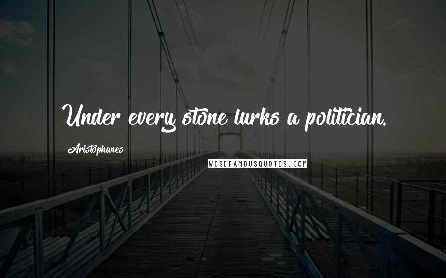 Aristophanes Quotes: Under every stone lurks a politician.