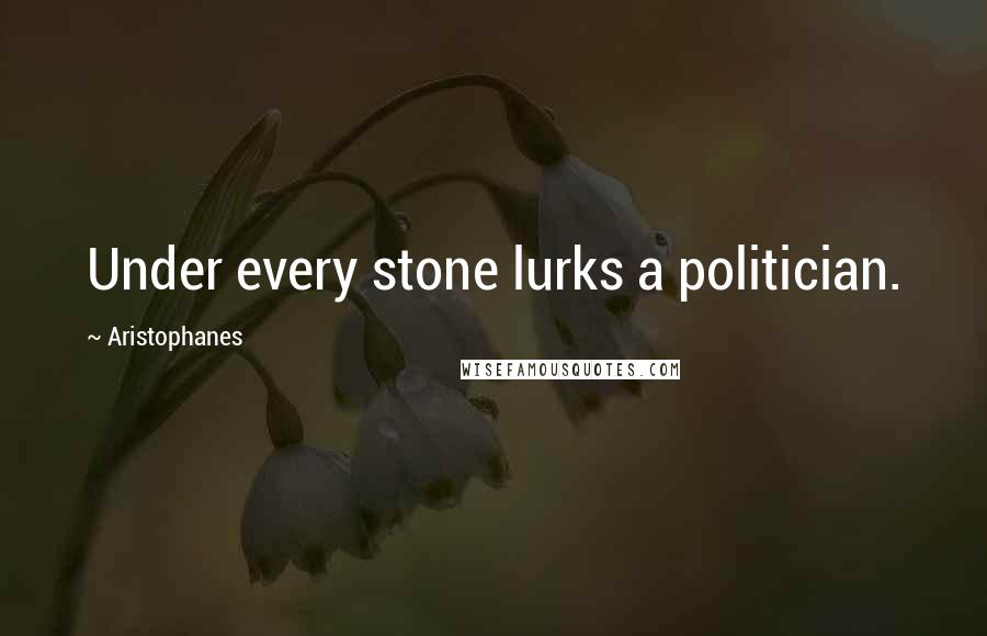 Aristophanes Quotes: Under every stone lurks a politician.