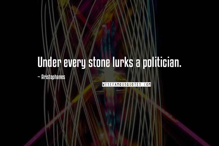 Aristophanes Quotes: Under every stone lurks a politician.