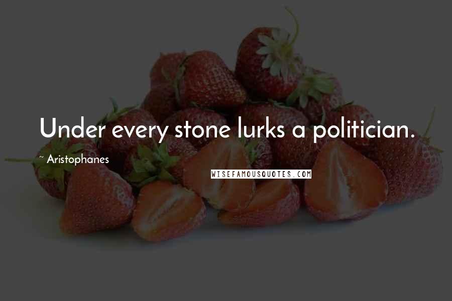 Aristophanes Quotes: Under every stone lurks a politician.