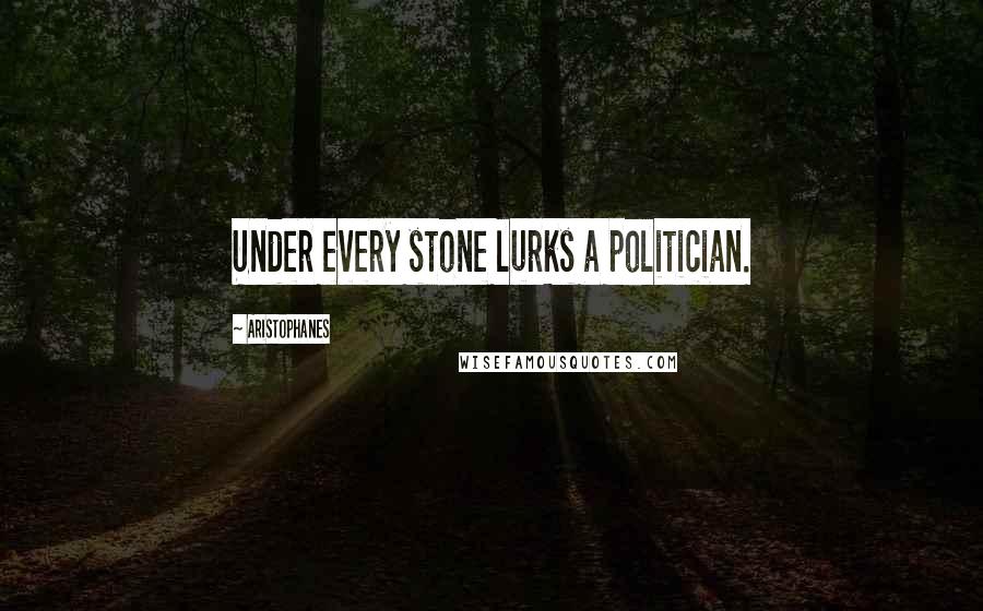 Aristophanes Quotes: Under every stone lurks a politician.