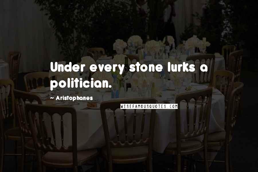 Aristophanes Quotes: Under every stone lurks a politician.