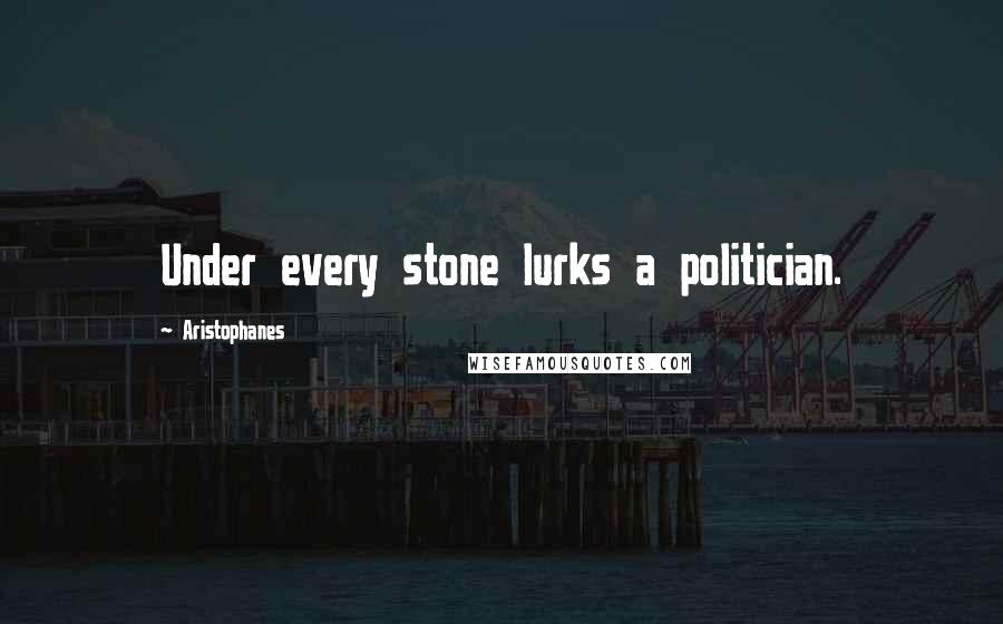 Aristophanes Quotes: Under every stone lurks a politician.