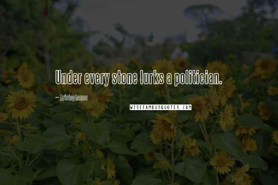 Aristophanes Quotes: Under every stone lurks a politician.