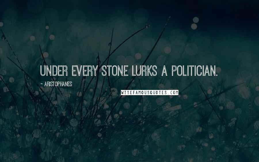 Aristophanes Quotes: Under every stone lurks a politician.